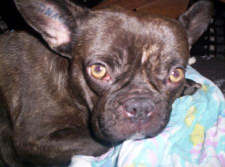 Lola